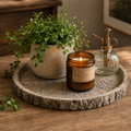 Cement Log Dish