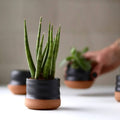 Assorted Small Planter Pot in Black
